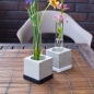 Preview: Block4 Concrete